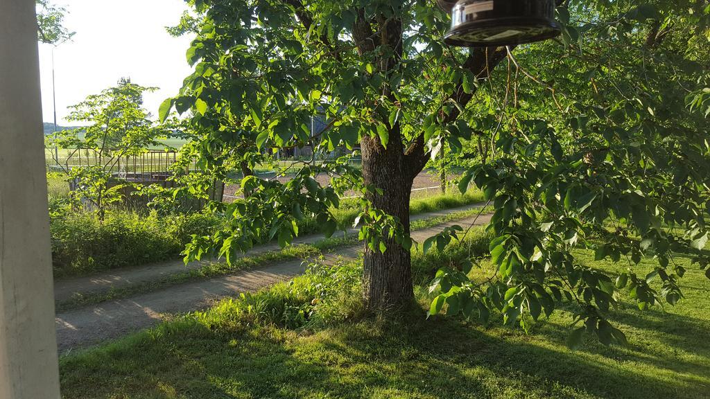 Marbys Gaestrum Esterno foto